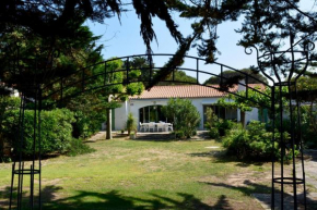 Ravissante Villa en bord de plage aux Grenettes